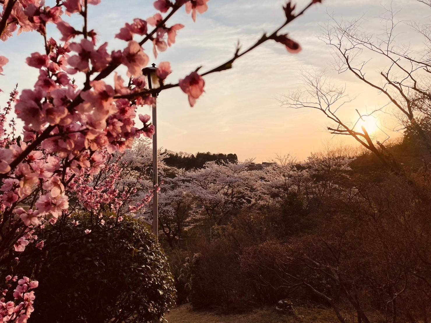 ホテル Granping ng が mi no Du 中津川市 エクステリア 写真