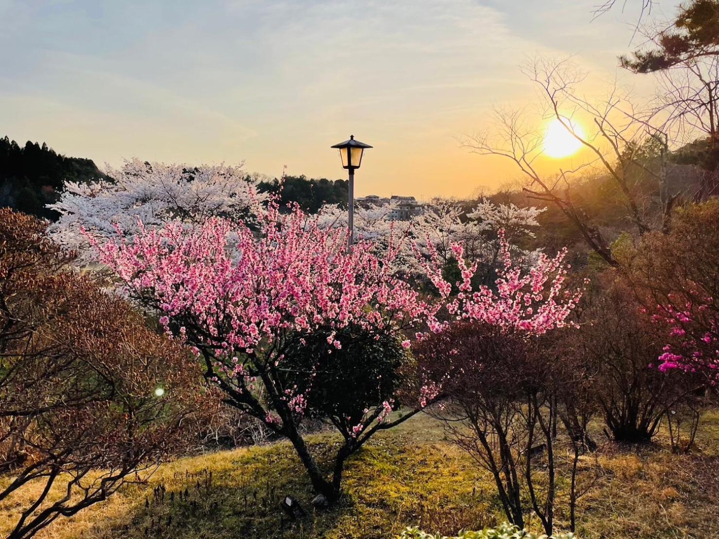 ホテル Granping ng が mi no Du 中津川市 エクステリア 写真